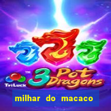 milhar do macaco que mais saem no jogo do bicho